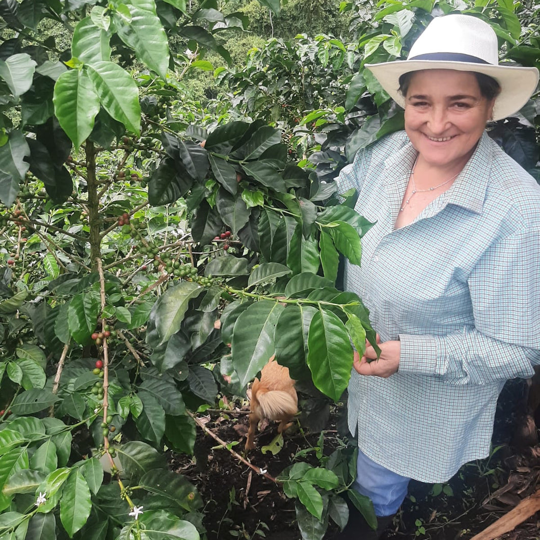 Amparo Restrepo